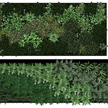 现代垂直绿化植物绿植墙植物墙1