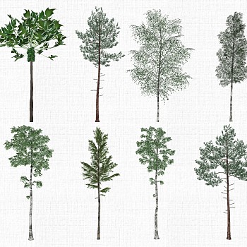 景观树su草图模型下载 (3)1