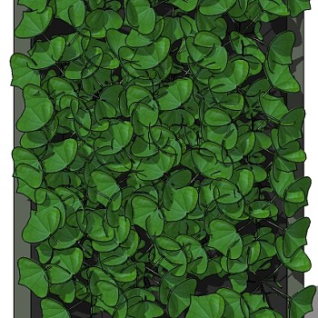 现代垂直绿化植物绿植墙植物墙 (50)