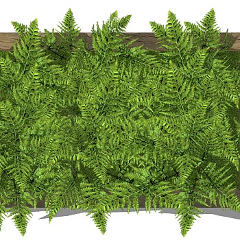 现代垂直绿化植物绿植墙植物墙 (39)