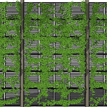 现代垂直绿化植物绿植墙植物墙 (6)