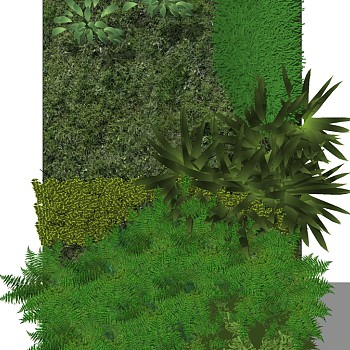 现代垂直绿化植物绿植墙植物墙 (3)