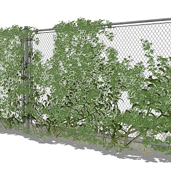 现代垂直绿化植物绿植墙植物墙 (2)