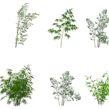 景观竹子植物模型sketchup草图模型下载 (1)