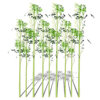 景观竹子植物模型sketchup草图模型下载 (3)