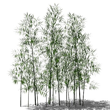 景观竹子植物模型sketchup草图模型下载 (5)