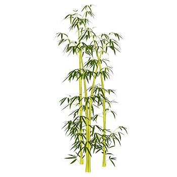 景观竹子植物模型sketchup草图模型下载 (7)