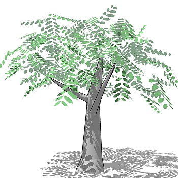 室外园林景观植物3d景观树sketchup草图模型下载 (45)