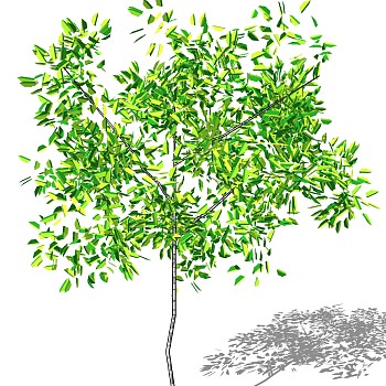 室外园林景观植物3d景观树sketchup草图模型下载 (43)