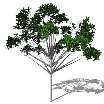 室外园林景观植物3d景观树sketchup草图模型下载 (42)