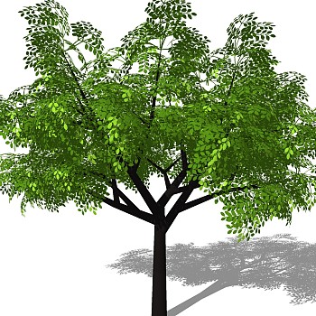 室外园林景观植物3d景观树sketchup草图模型下载 (40)
