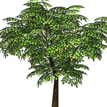 室外园林景观植物3d景观树sketchup草图模型下载 (37)