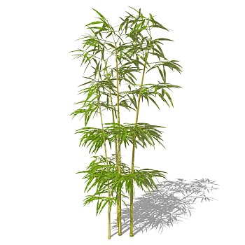 景观竹子植物模型sketchup草图模型下载 (12)