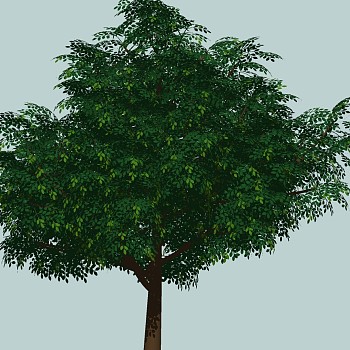 室外园林景观植物3d景观树sketchup草图模型下载 (36)