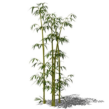 景观竹子植物模型sketchup草图模型下载 (13)