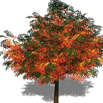 室外园林景观植物3d景观树sketchup草图模型下载 (35)