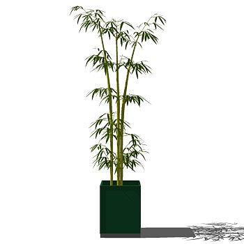 景观竹子植物模型sketchup草图模型下载 (14)
