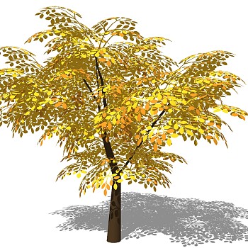 室外园林景观植物3d景观树sketchup草图模型下载 (34)