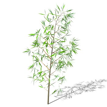 景观竹子植物模型sketchup草图模型下载 (15)