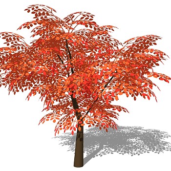 室外园林景观植物3d景观树sketchup草图模型下载 (33)