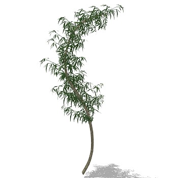 景观竹子植物模型sketchup草图模型下载 (17)