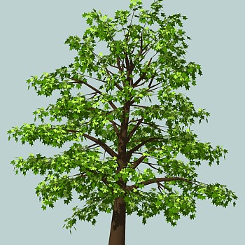 室外园林景观植物3d景观树sketchup草图模型下载 (30)