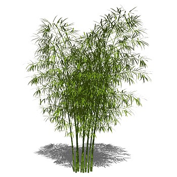 景观竹子植物模型sketchup草图模型下载 (19)