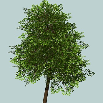 室外园林景观植物3d景观树sketchup草图模型下载 (25)