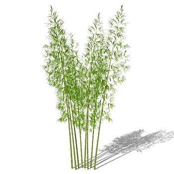 景观竹子植物模型sketchup草图模型下载 (21)