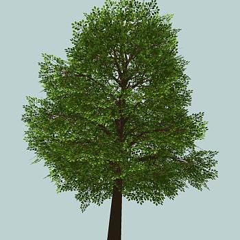 室外园林景观植物3d景观树sketchup草图模型下载 (24)