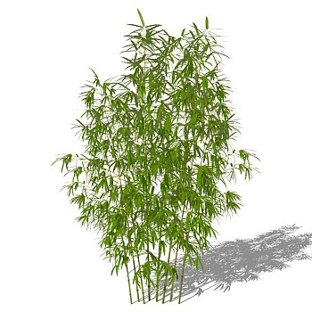 景观竹子植物模型sketchup草图模型下载 (22)