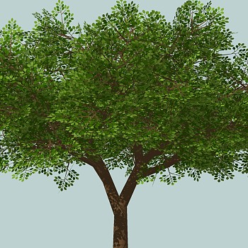 室外园林景观植物3d景观树sketchup草图模型下载 (23)