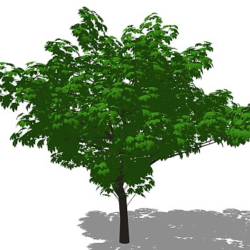 室外园林景观植物3d景观树sketchup草图模型下载 (19)