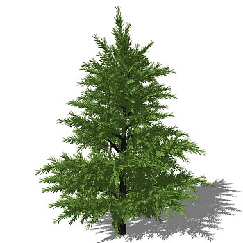 室外园林景观植物3d景观树sketchup草图模型下载 (16)