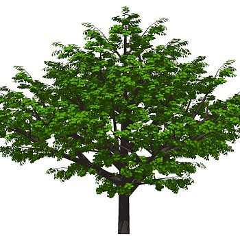 室外园林景观植物3d景观树sketchup草图模型下载 (14)