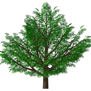 室外园林景观植物3d景观树sketchup草图模型下载 (13)