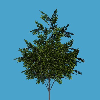 室外园林景观植物3d景观树sketchup草图模型下载 (10)