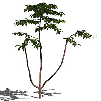 室外园林景观植物3d景观树sketchup草图模型下载 (8)