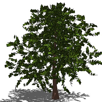 室外园林景观植物3d景观树sketchup草图模型下载 (7)