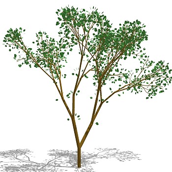 室外园林景观植物3d景观树sketchup草图模型下载 (3)