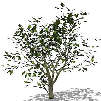 室外园林景观植物3d景观树sketchup草图模型下载 (1)