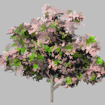 室外园林景观植物2d景观树sketchup草图模型下载 (5)