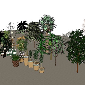 4现代景观植物盆栽树木组合sketchup草图模型下载