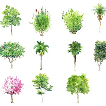 室外园林2d景观树sketchup草图模型下载手绘风格植物
