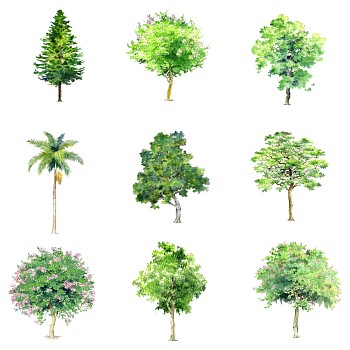 室外园林2d景观树sketchup草图模型下载手绘风格植物