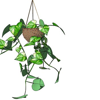 SU吊挂植物吊篮花艺草图模型 (4)
