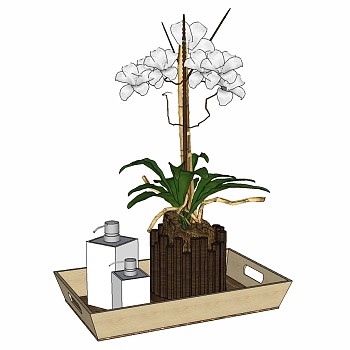 现代植物花瓶插花蝴蝶兰金樱子 sketchup草图模型下载  (3)