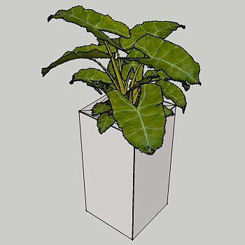 09-盆栽植物绿植花盆