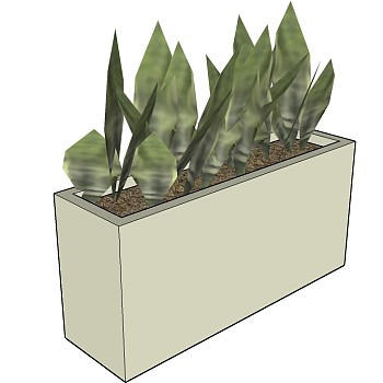 06-盆栽植物绿植花槽