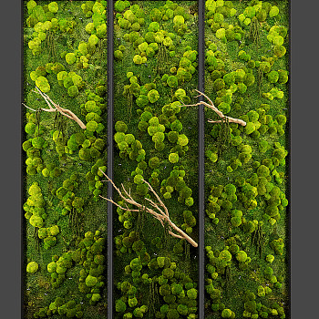 01绿植墙,苔藓,植物墙,sketchup草图模型下载